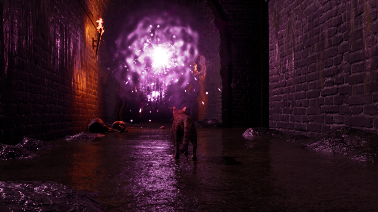 ss_5b7bc791067b91ad5a2f21d628b43a6caac34490.1920x1080