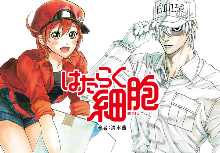 cells-at-work-akane-shimizu-depression-ptsd-serialization-05
