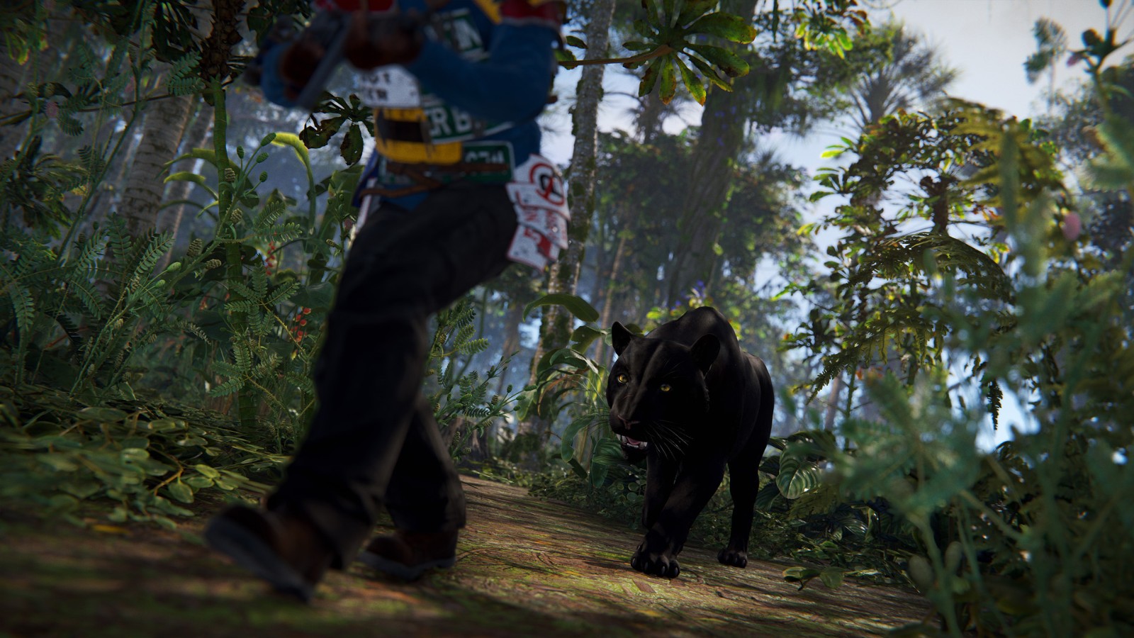 jungleupdate_panther_02