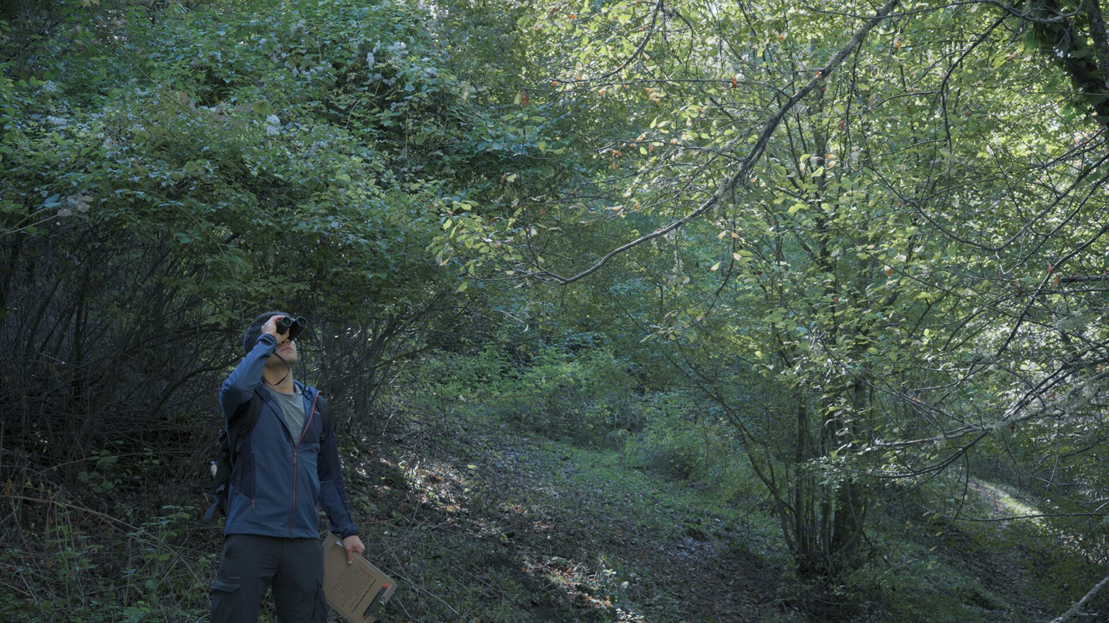 ss_9988ce1b4b8043821bc8b073e3313bff406ed263.1920x1080