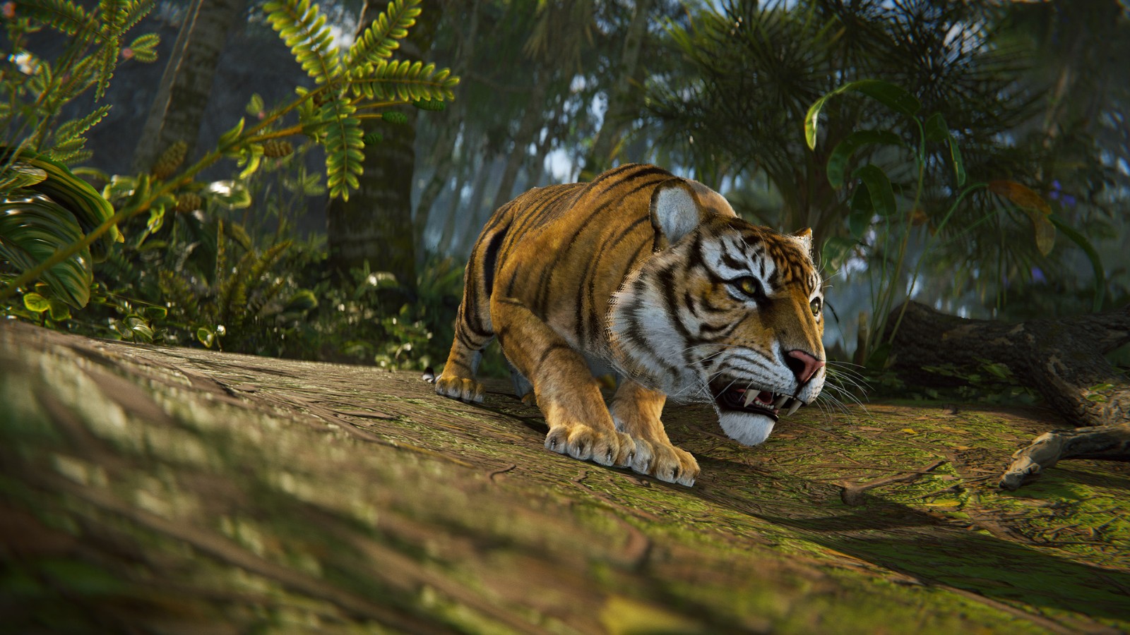 jungleupdate_tiger_04