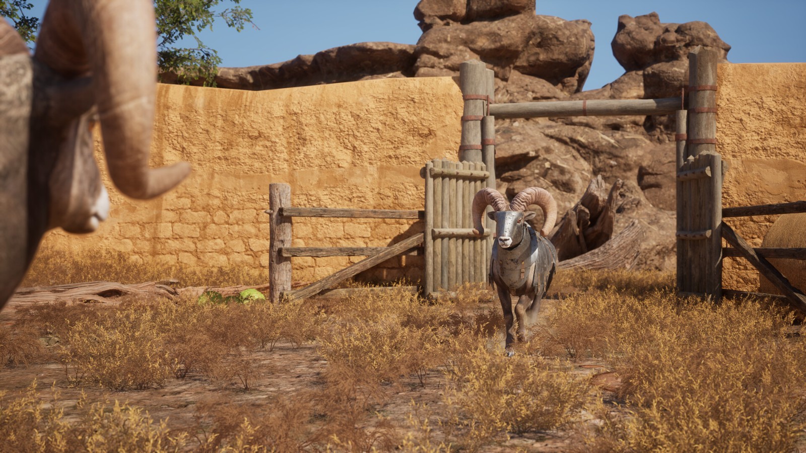 ss_9c7750f2708d63e30513f0bc231fdded2e02fd0f.1920x1080