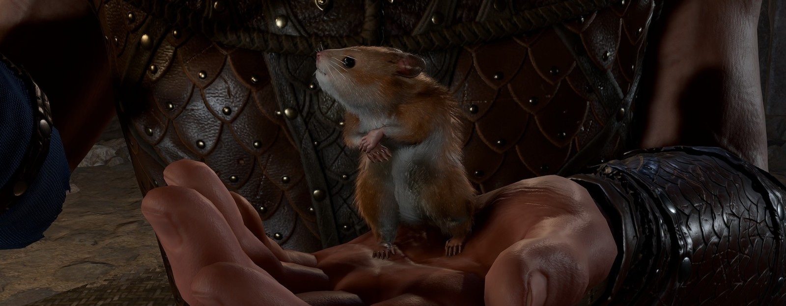 M艾尚体育官方入口登录DAD