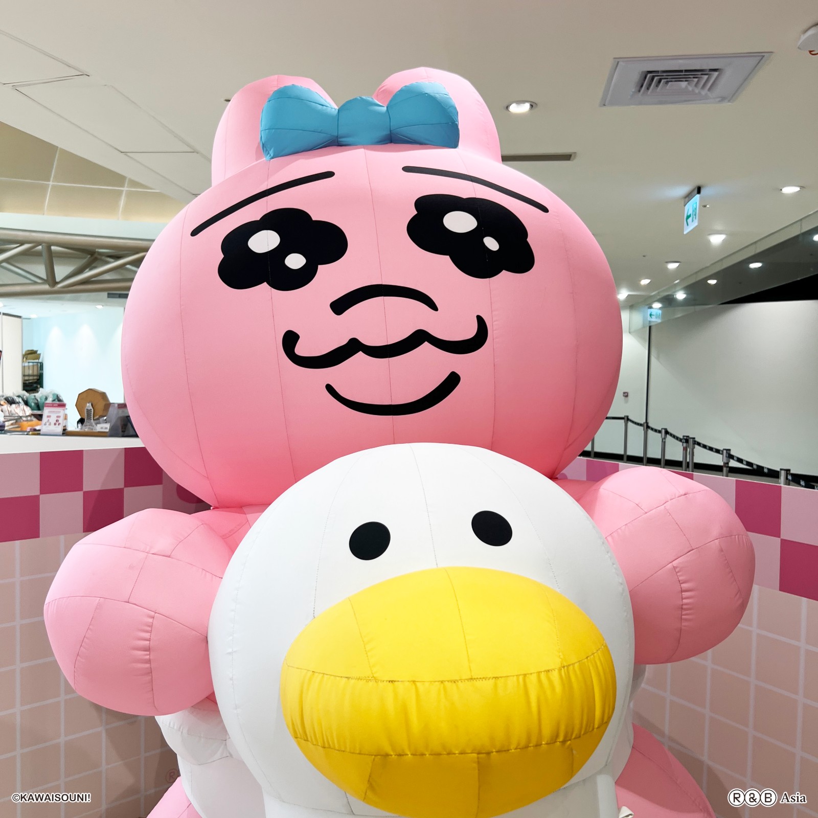 260814_chu (1)