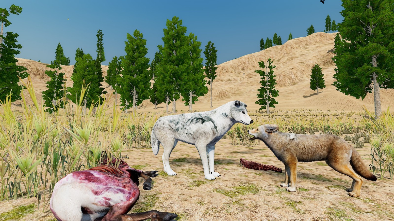 wolf02