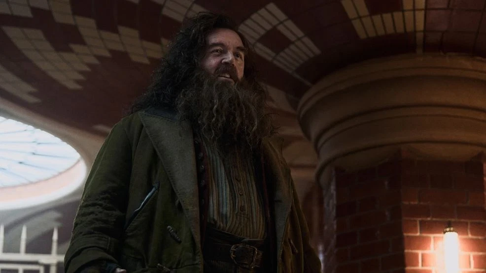 a23dd8bf-7bd6-400a-90a8-3eef0e1c8c99-nickfrost