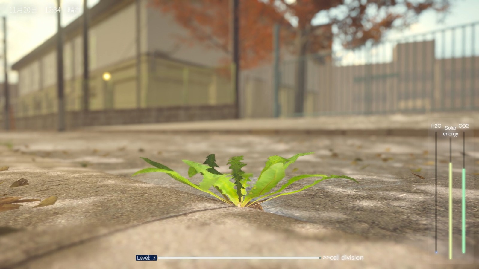 ss_d8216ece281bb1ef3932df36acaa21823b4d2867.1920x1080