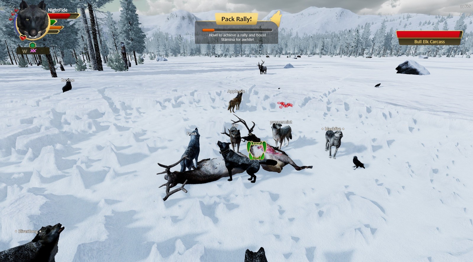 wolf09