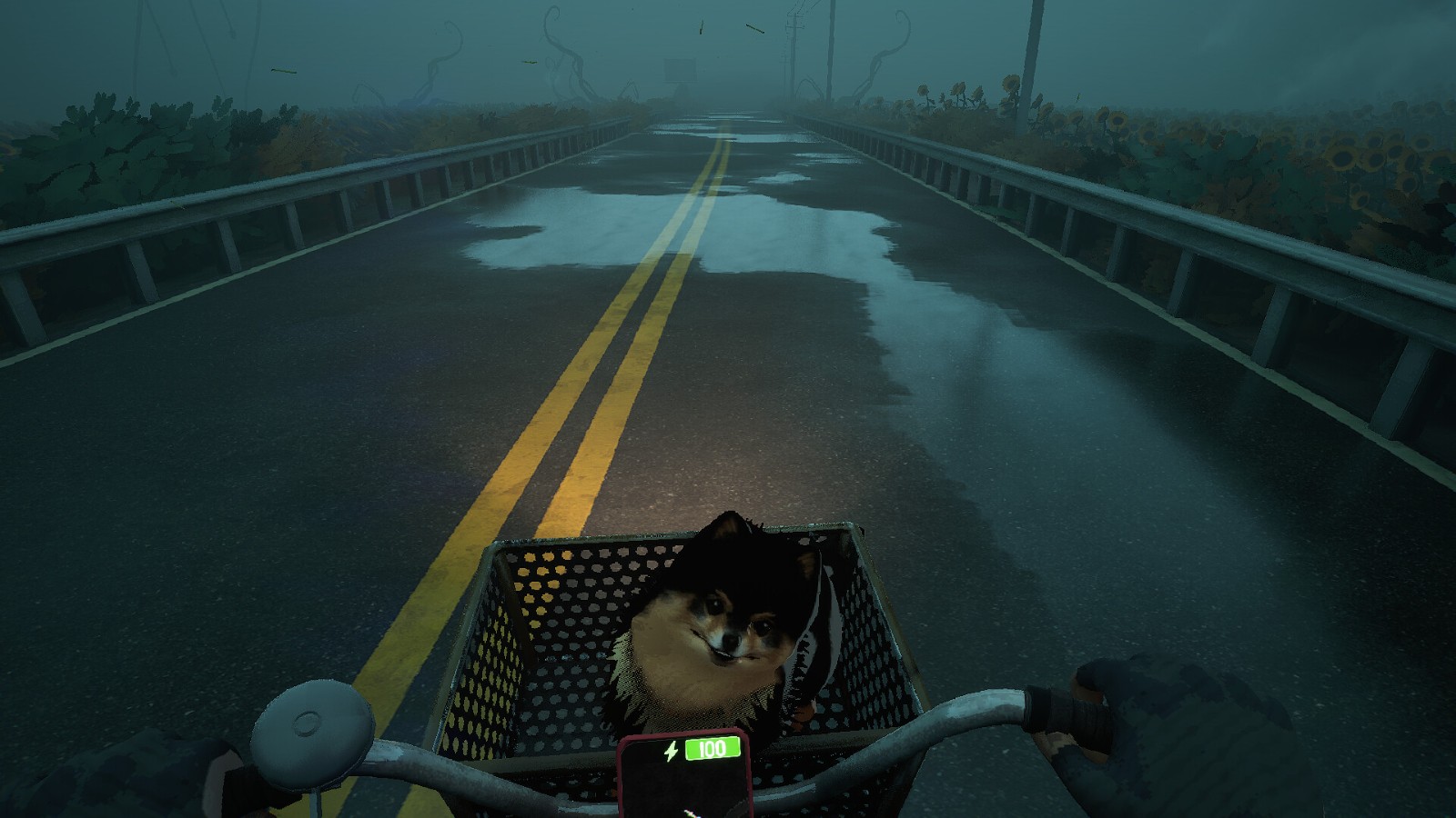 250327_ride (10)