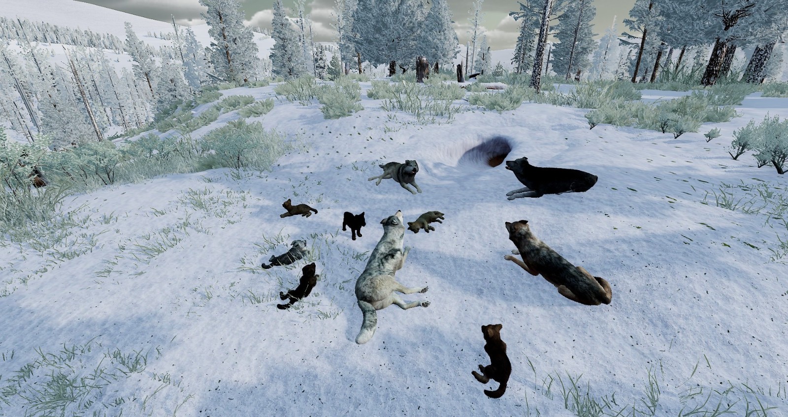 wolf07