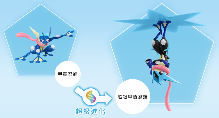 20_甲賀忍蛙超級進(jìn)化