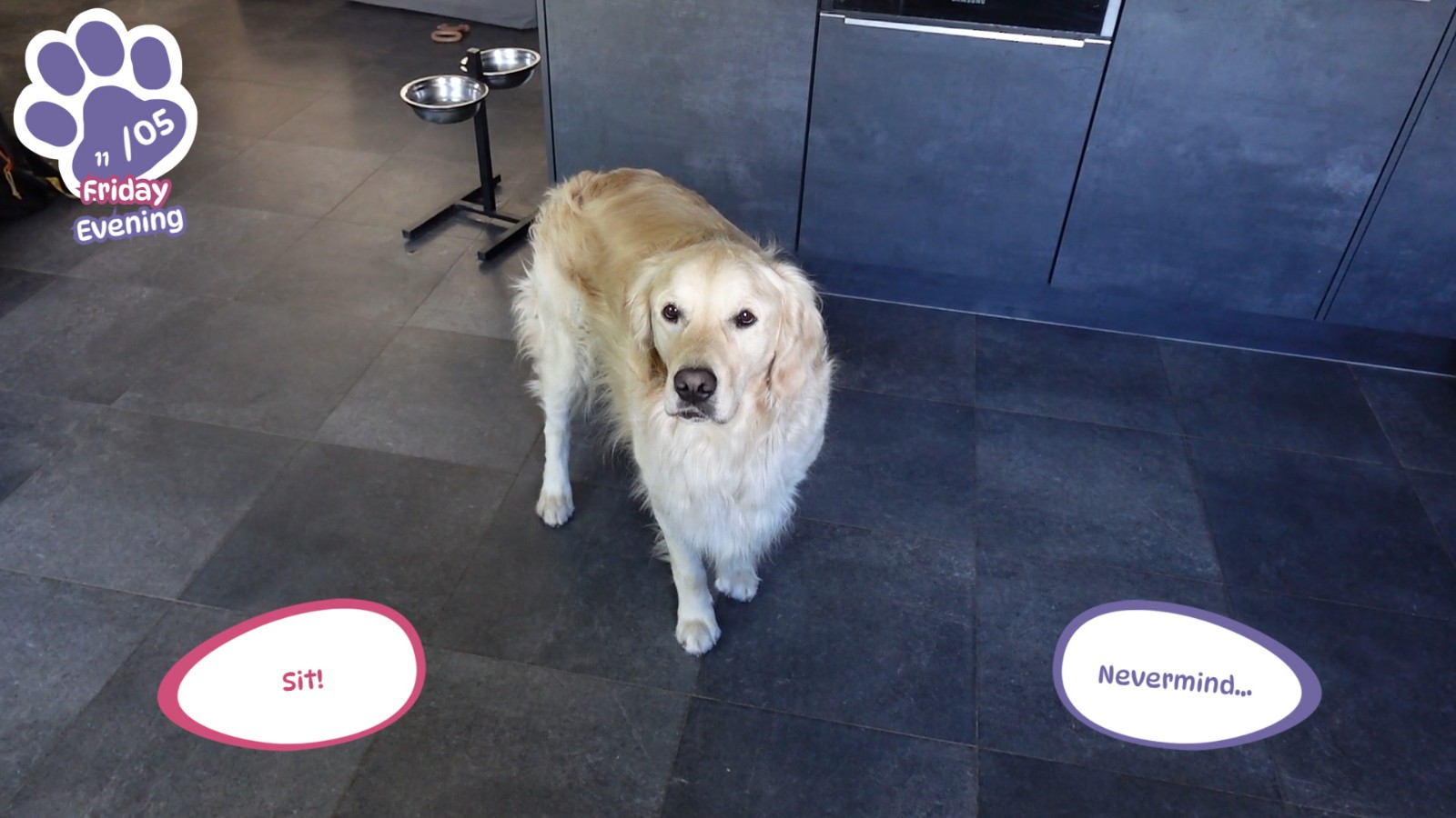 Golden_Retriever_Simple_Life_02
