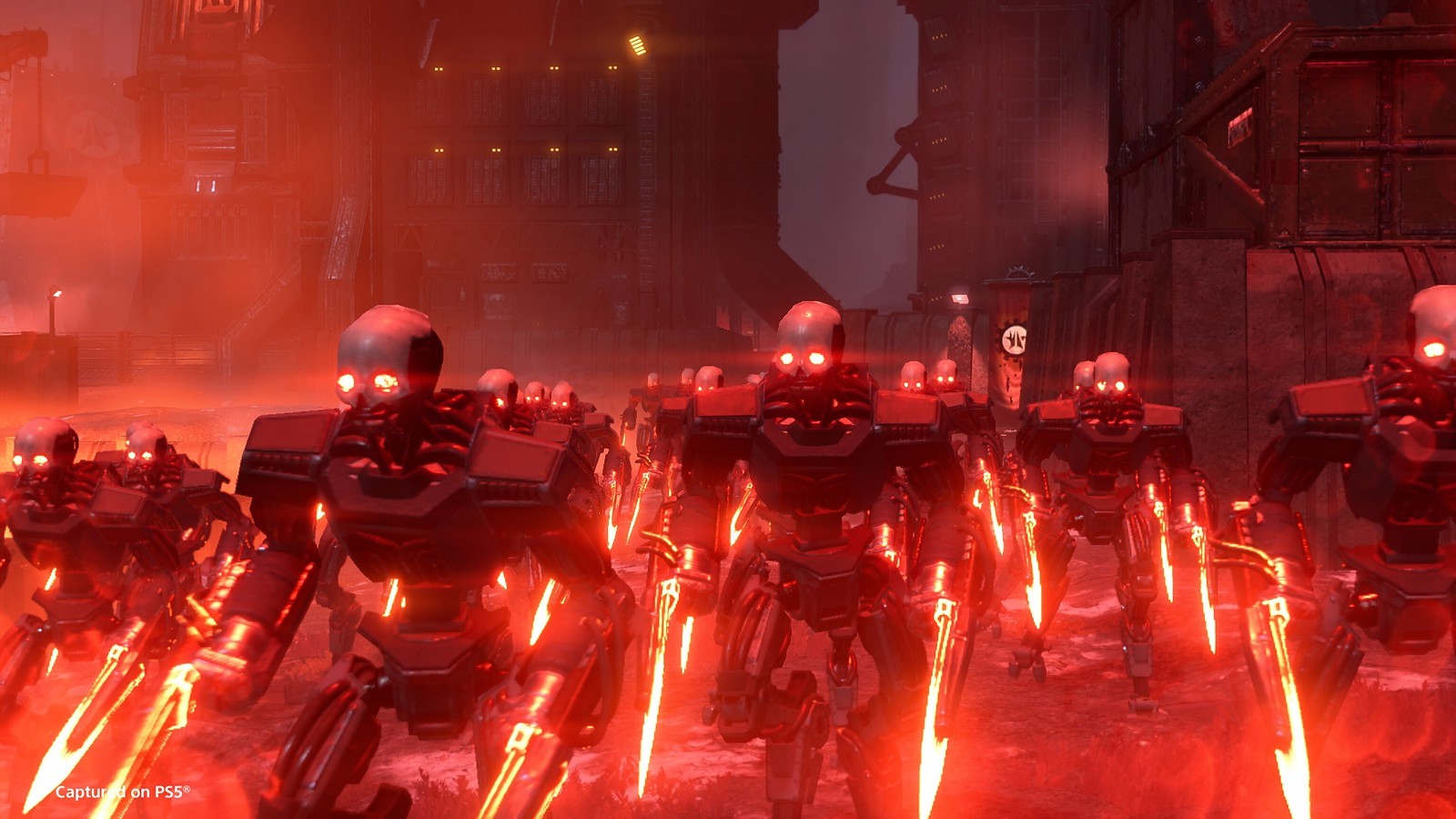 55079063029_ba6c3e67ca_h