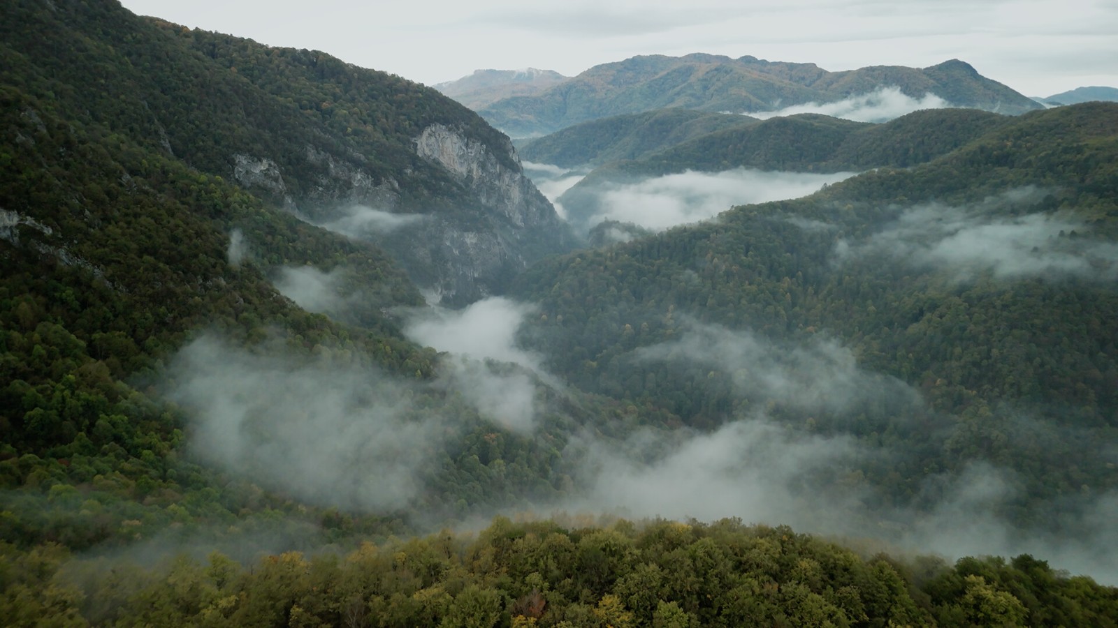 ss_b79c411631711ed3b0b3cb65beb9cbed2aa2dc2b.1920x1080