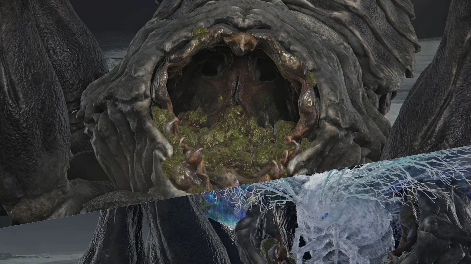collagepest