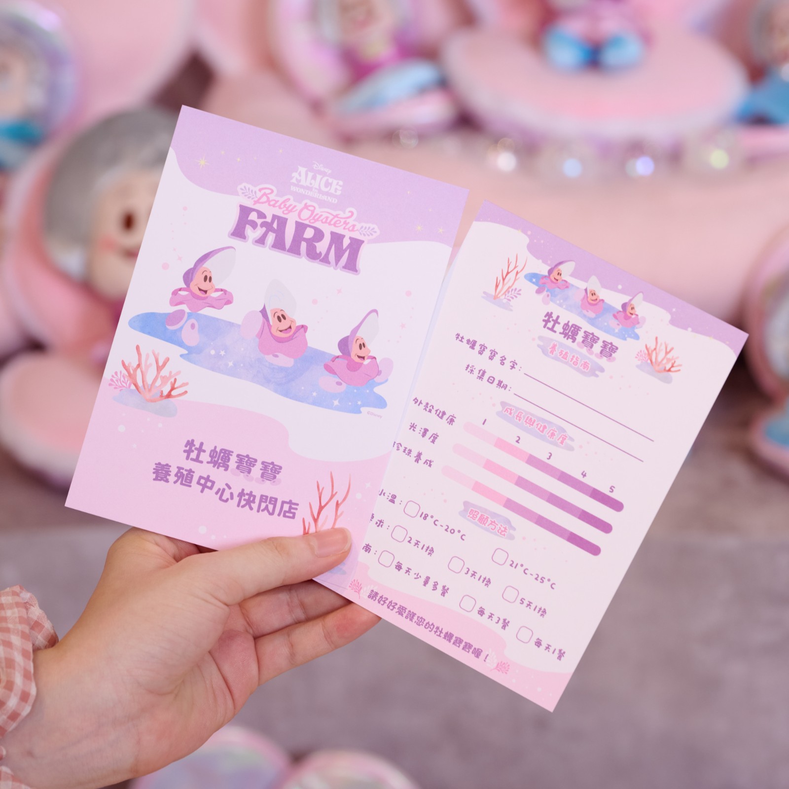 牡蠣寶寶養殖指南