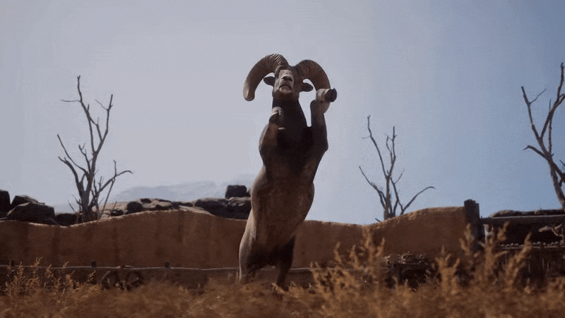 039b4b1a4a20f9f9e95463b079d70b61