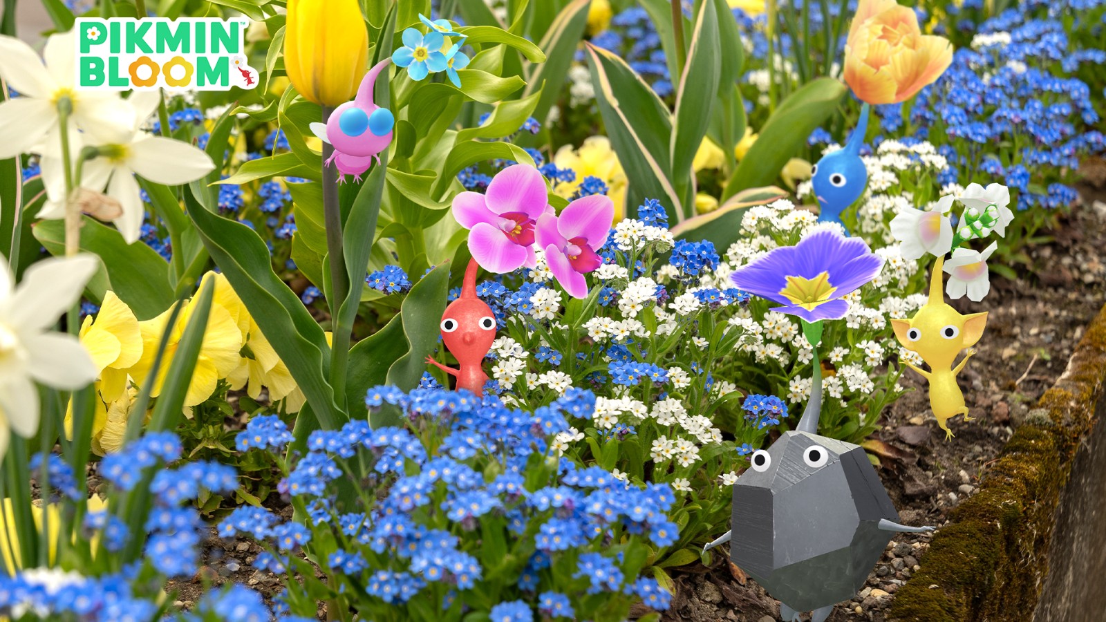 260514_pikmin (1)