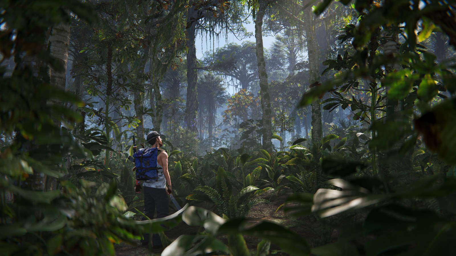 jungleUpdate_biome_02