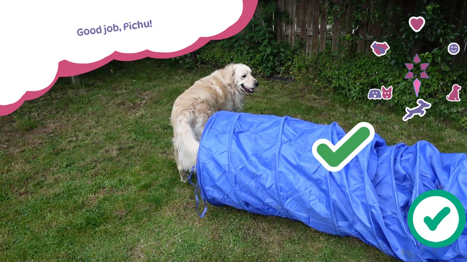 Golden_Retriever_Simple_Life_04_small