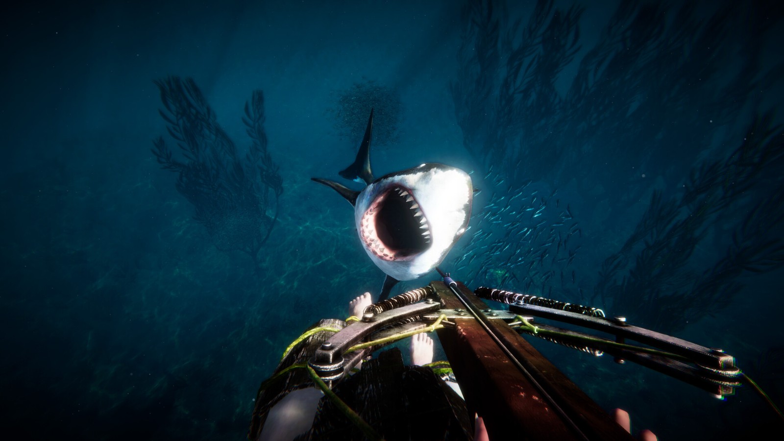 ss_b2c9177cf3bbc852492ae732cc7e7af660e6b948.1920x1080